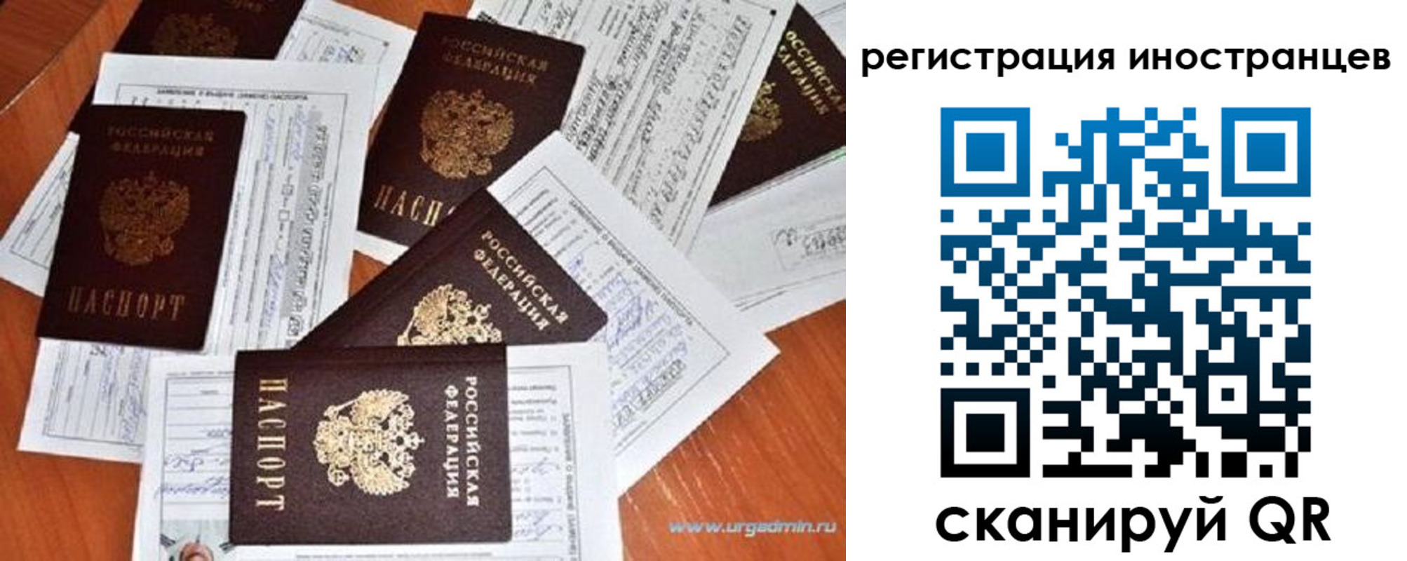 временная регистрация гарантия в Губахе